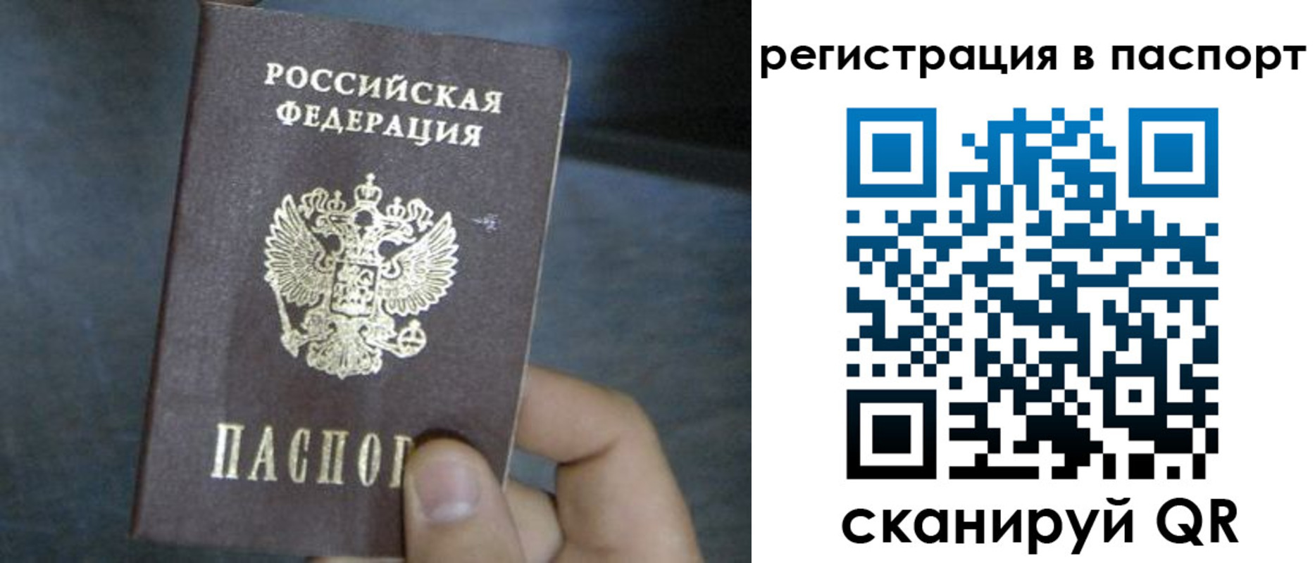 прописка 2025 в Кувшиново